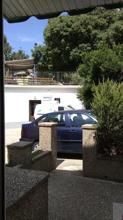 Apartment Filip Vrbnik Dış mekan fotoğraf